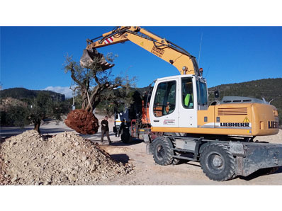 Excavaciones Y Materiales Cirugeda 4