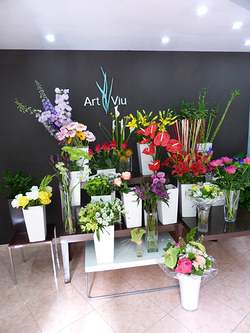 Galería de imágenes