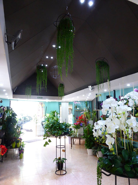 Art Viu Disseny Floral Palma