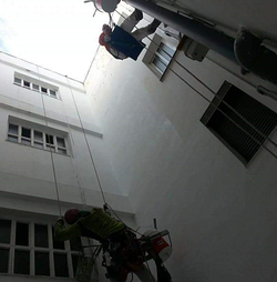 Pinturas Malex 3 Pinturas Malex 3