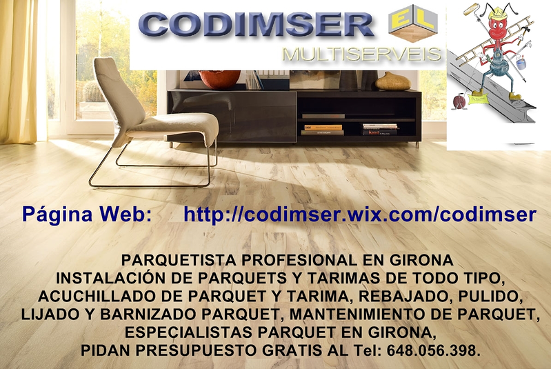 Codimser Multiservicios 18