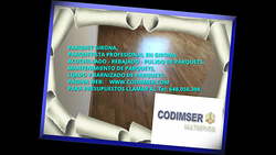 Codimser Multiservicios 4 Codimser Multiservicios 4