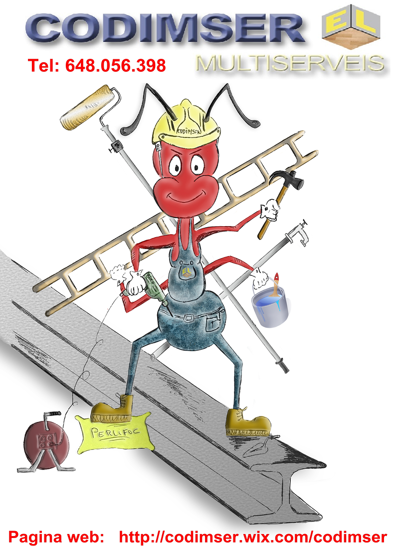 Codimser Multiservicios 16