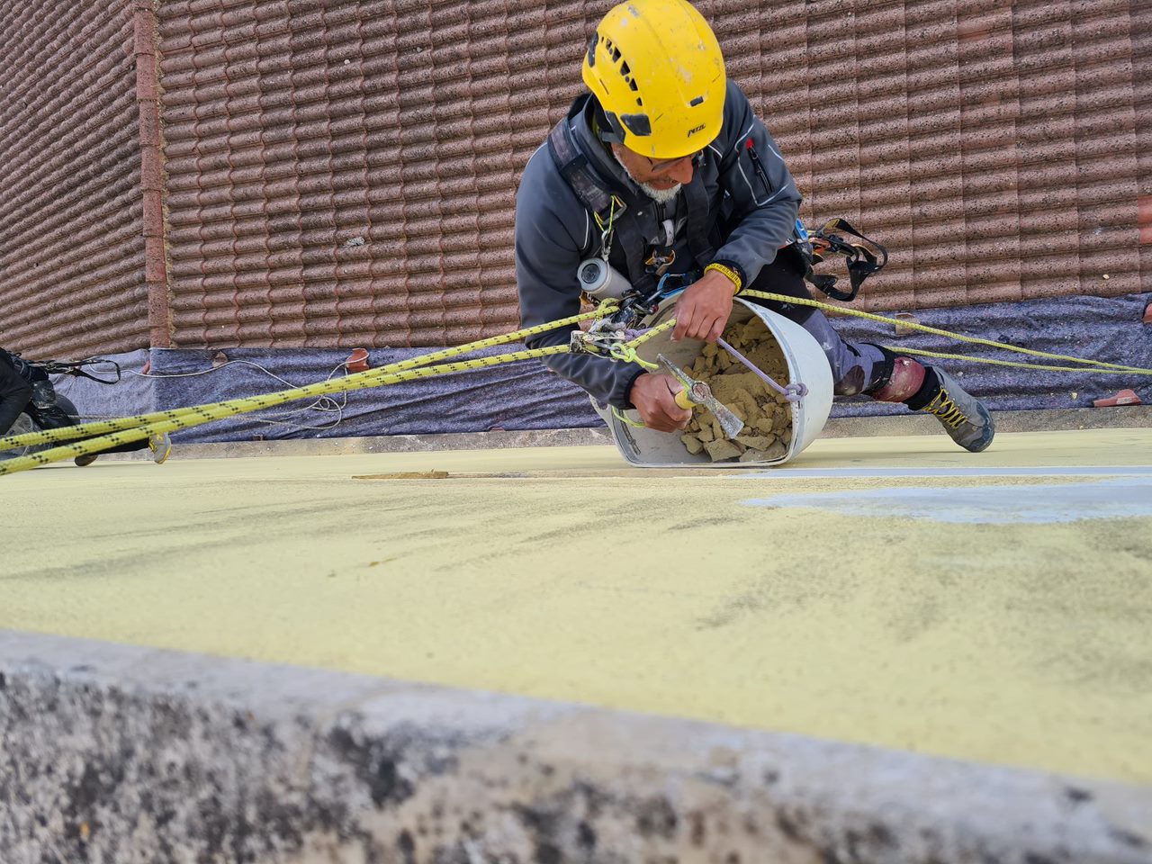 Galería de imágenes