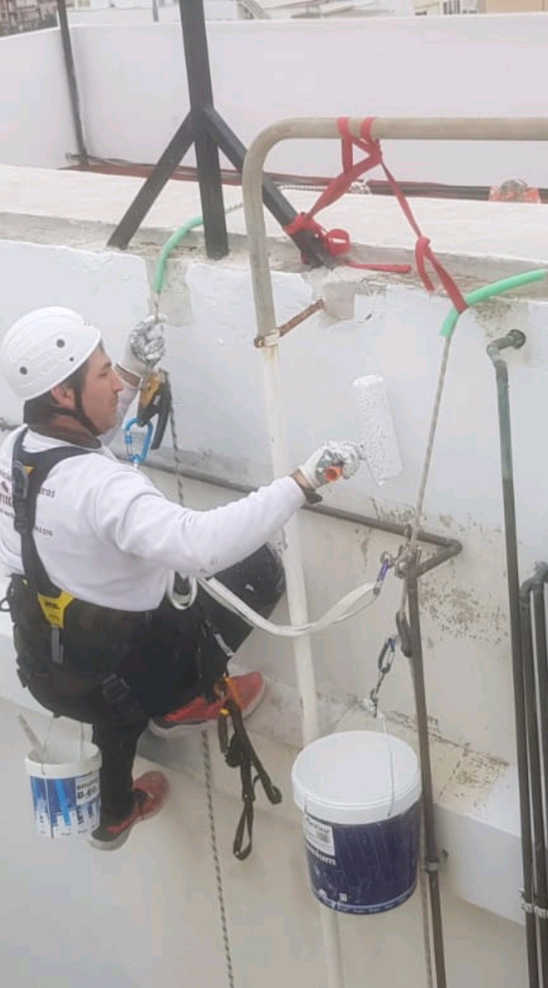 Galería de imágenes