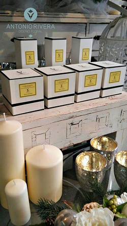 Galería de imágenes