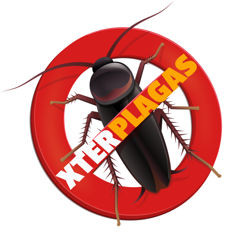 Control de Plagas en Barcelona - Xterplagas 6