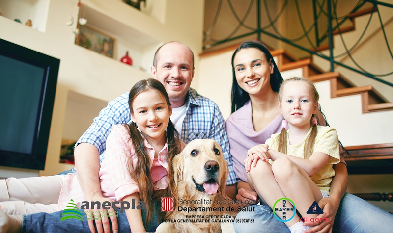 Control de Plagas en Barcelona - Xterplagas 2