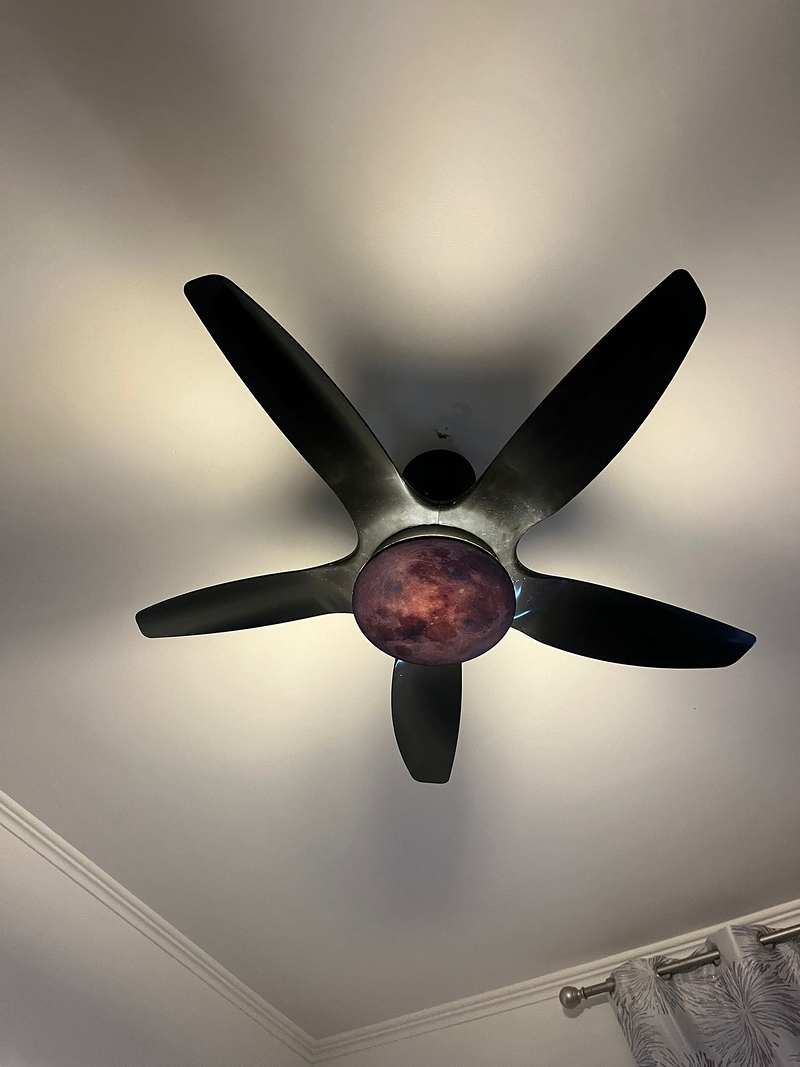 Decoración Integral David León 8