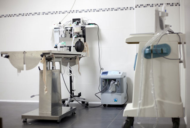 Morera Cl&iacute;nica Veterin&agrave;ria 3