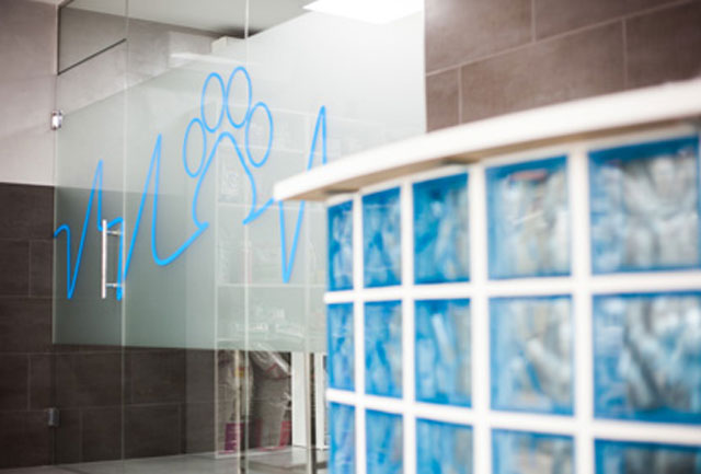 Morera Cl&iacute;nica Veterin&agrave;ria VETERINARIOS