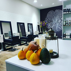 Galería de imágenes