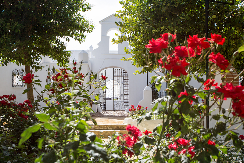 Real Venta De Antequera Sevilla FIESTAS ESPECTACULOS Y EVENTOS DE EPOCA: ORGANIZACION