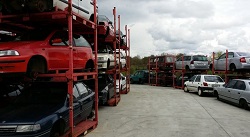 Galería de imágenes