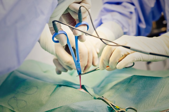 Cl&iacute;nica Veterinaria Zarpa CLINICAS VETERINARIAS