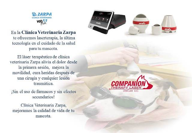 Cl&iacute;nica Veterinaria Zarpa Cuenca