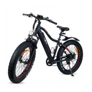 E-Bike Palma 2