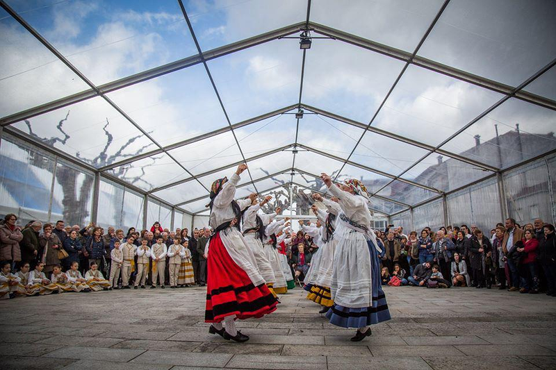 Carpas Pontevedra Sl 2