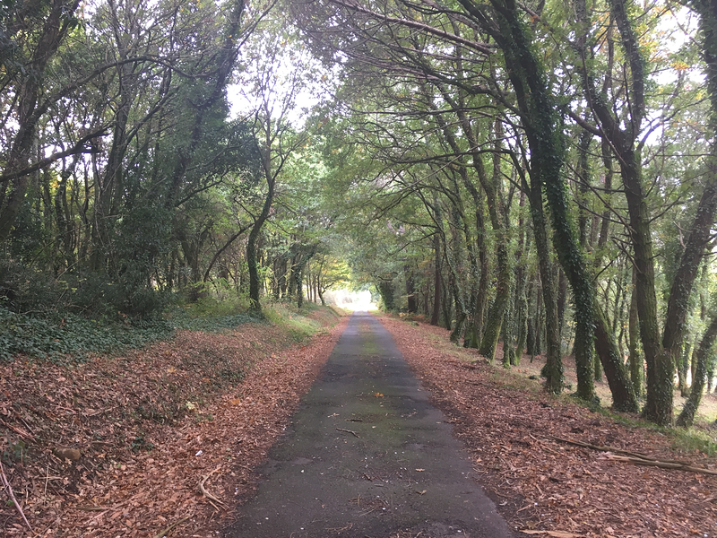 Proceso Psicolog&iacute;a 7