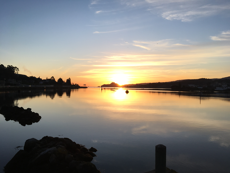 Proceso Psicolog&iacute;a 10