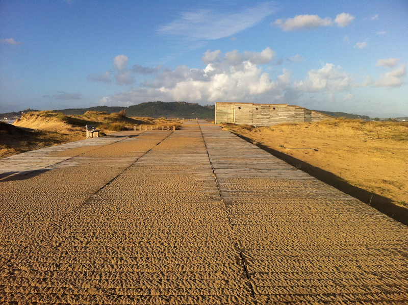 Proceso Psicolog&iacute;a 2