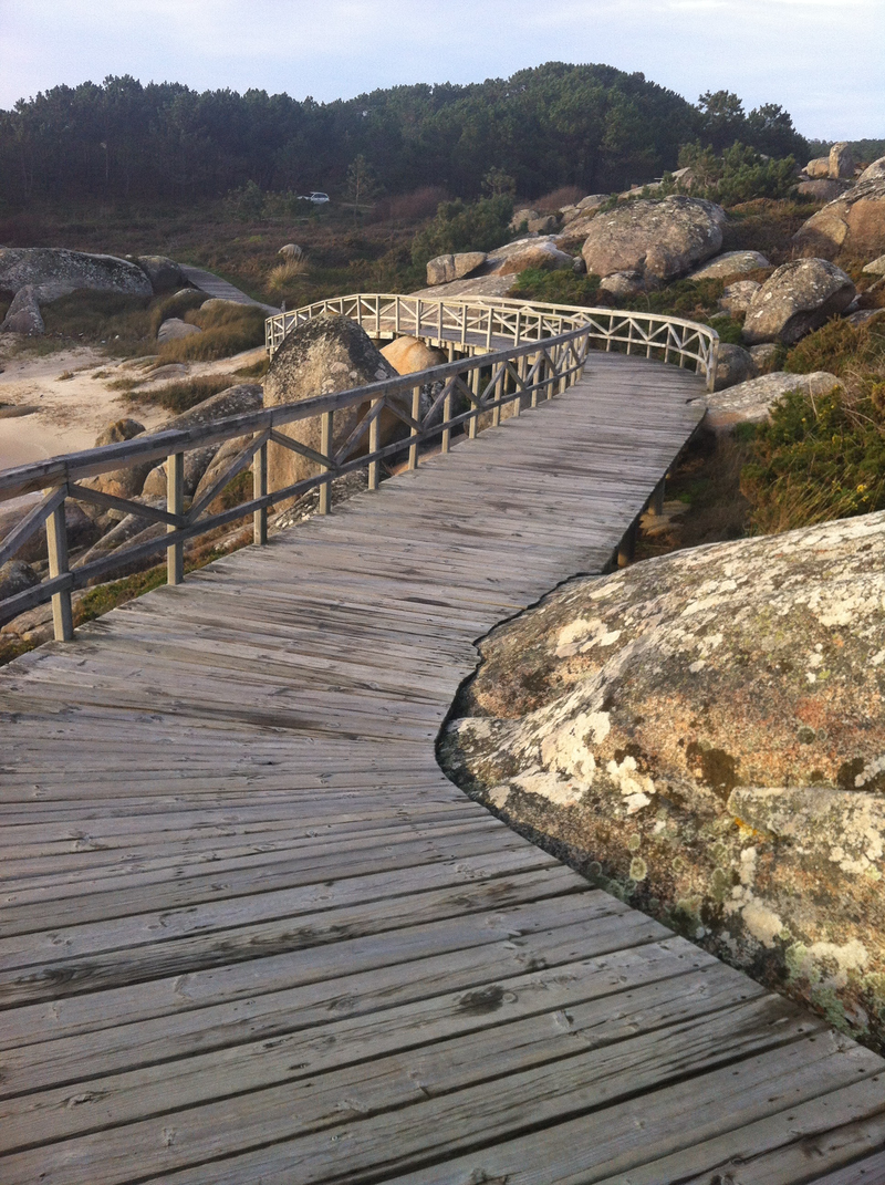 Proceso Psicolog&iacute;a 4