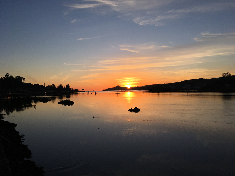 Proceso Psicolog&iacute;a 11