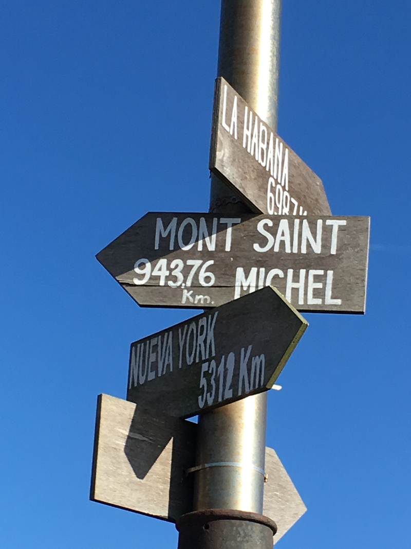 Proceso Psicolog&iacute;a 8