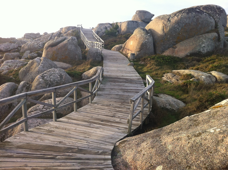 Proceso Psicolog&iacute;a 3