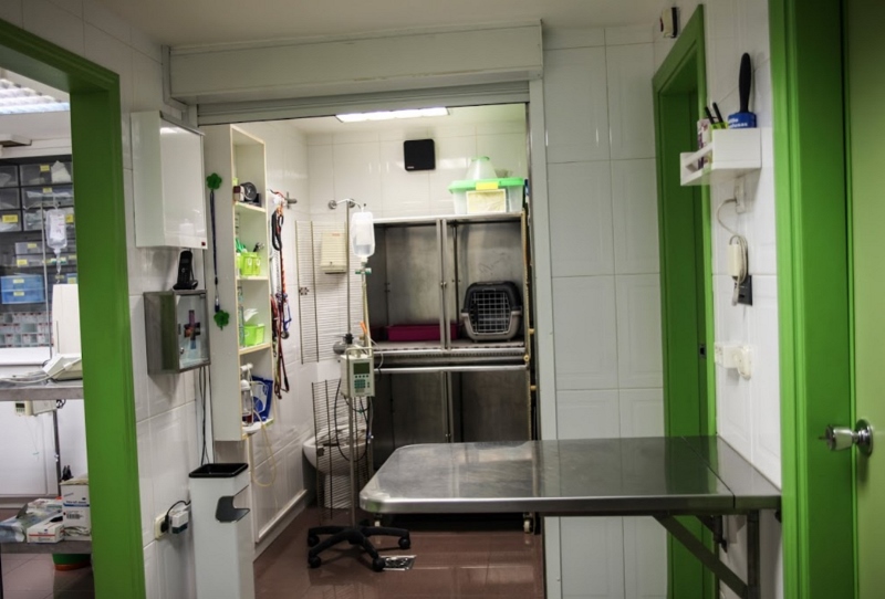 Clínica Veterinaria Vetéritas 4