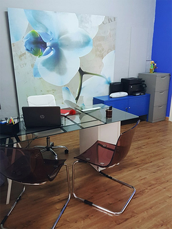 Galería de imágenes