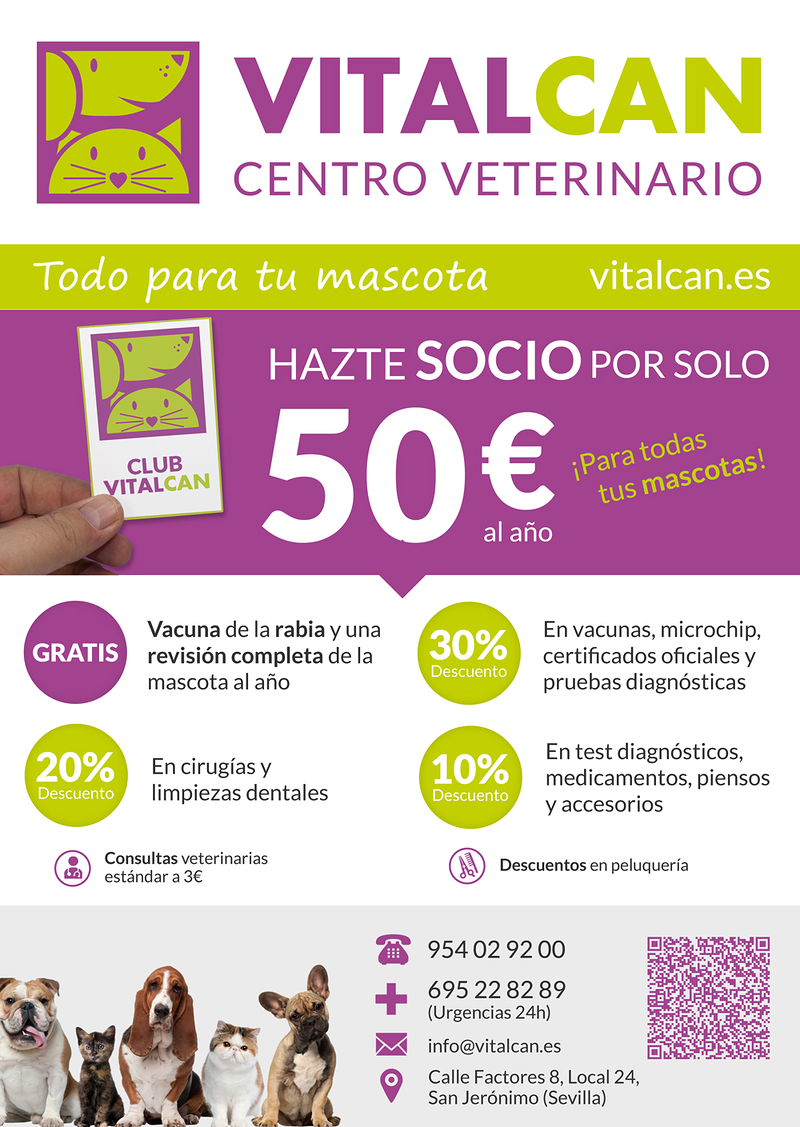 Vitalcan Centro Veterinario Urgencias 24 Horas 5