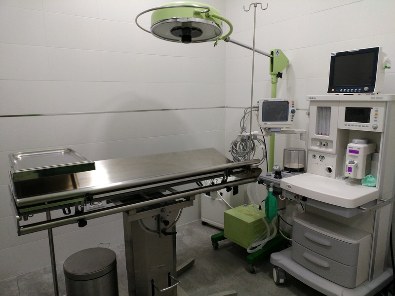 Vitalcan Centro Veterinario Urgencias 24 Horas 2