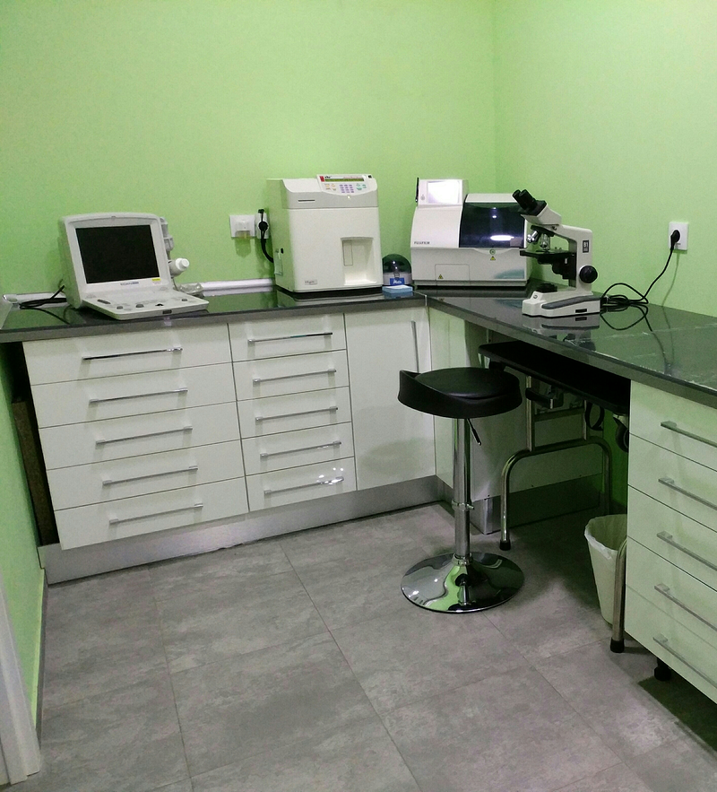 Vitalcan Centro Veterinario Urgencias 24 Horas 11