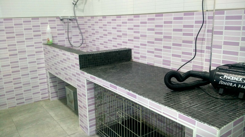 Vitalcan Centro Veterinario Urgencias 24 Horas Sevilla