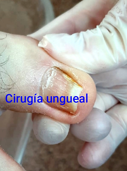 Galería de imágenes