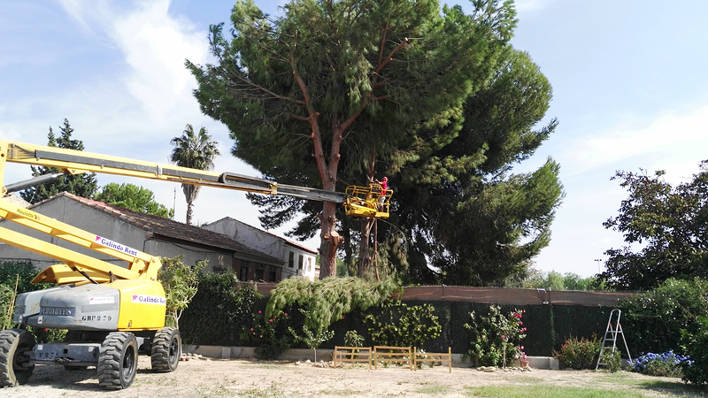 Reformas y Construcciones Costel 6