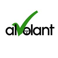 Autoescola al Volant