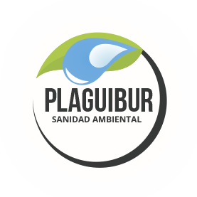 Plaguibur