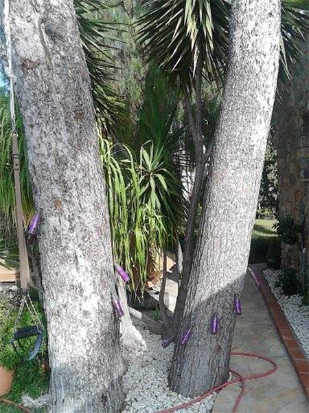 Jard&iacute;n Tropical Almuñécar