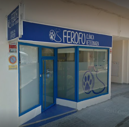 Galería de imágenes