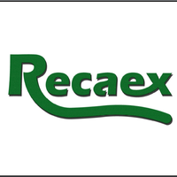 Recaex S.L.