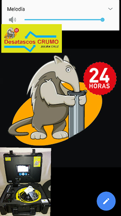 Galería de imágenes