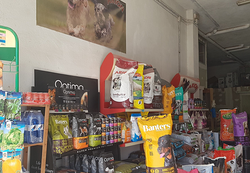 Galería de imágenes