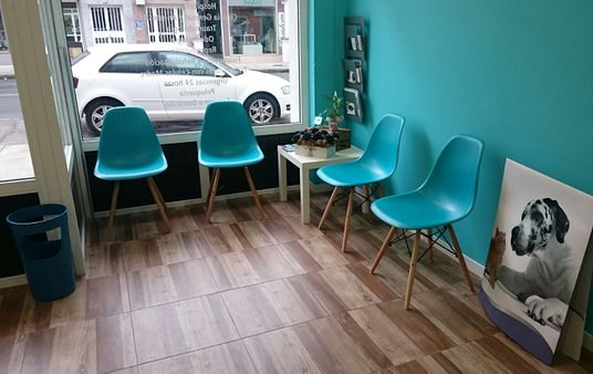 Cl&iacute;nica Veterinaria Bichopolis Ferrol