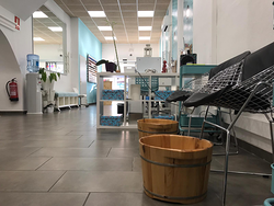 Galería de imágenes