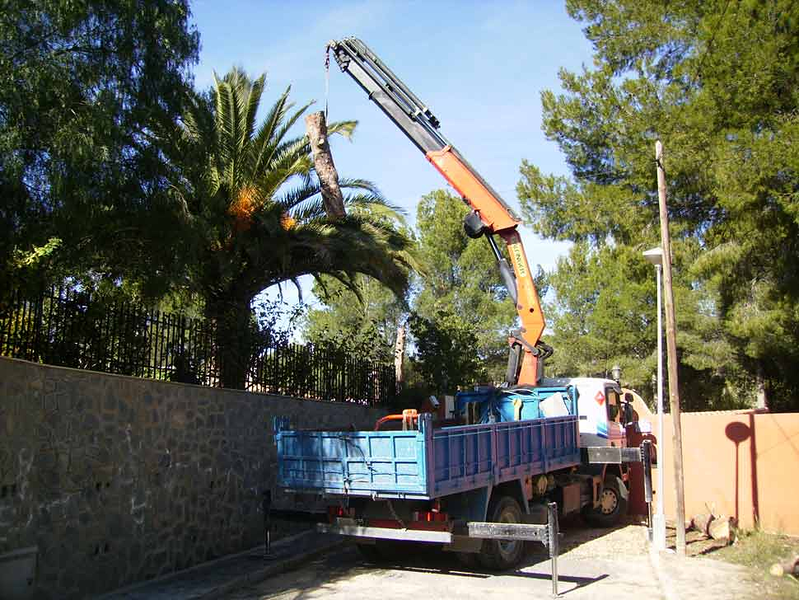 Transportes Hermanos Sánchez Bonastre 11
