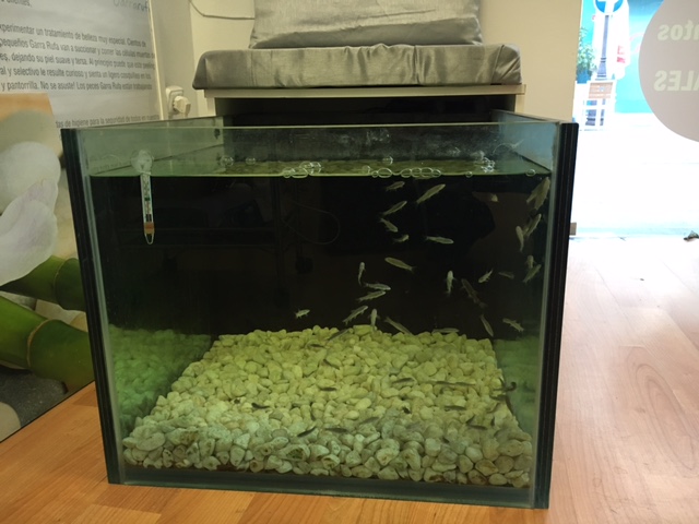 Laser Cinco Sentidos Huelva