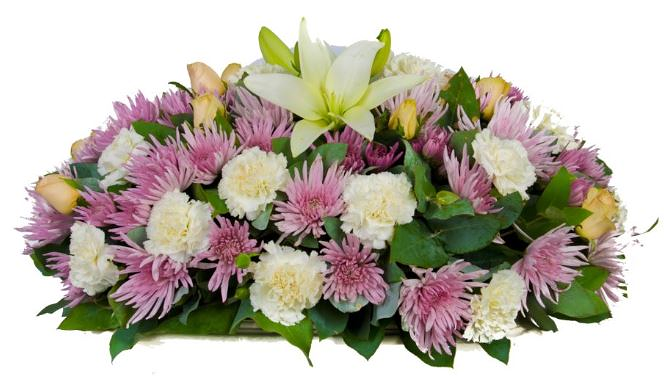 lafloristeriacanarias.es 4