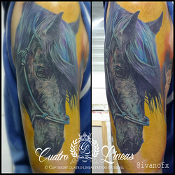 Galería de imágenes